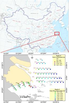 Characterization of suspended sand concentrations in the Yangtze River Estuary and adjacent waters